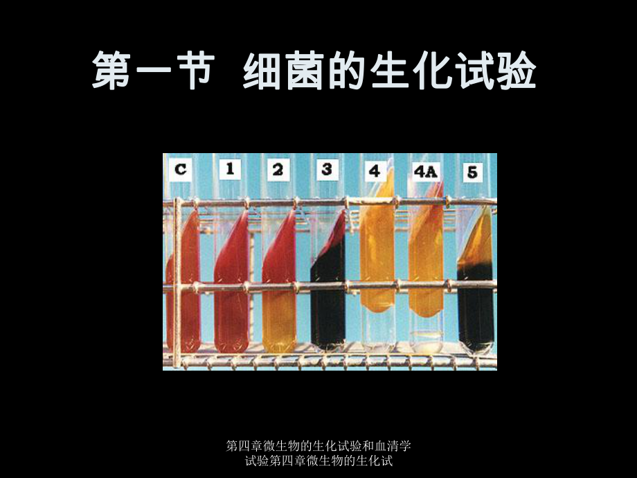 第四章微生物的生化试验和血清学试验第四章微生物的生化试课件.ppt_第2页