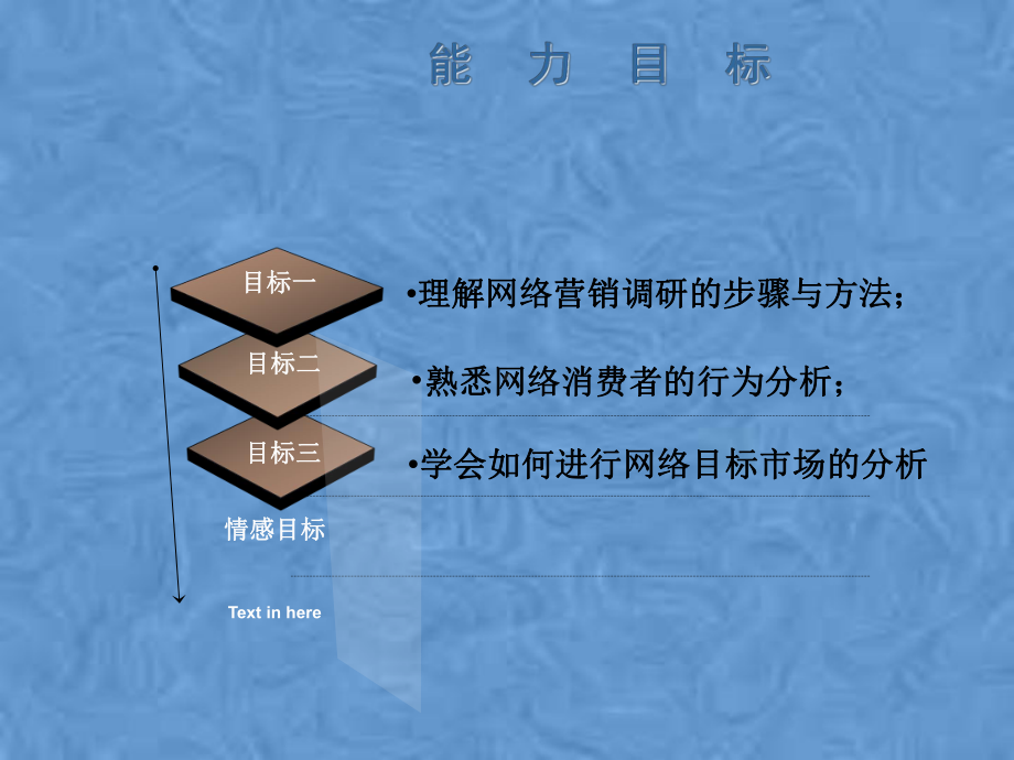 网络营销目标市场分析课件.pptx_第3页