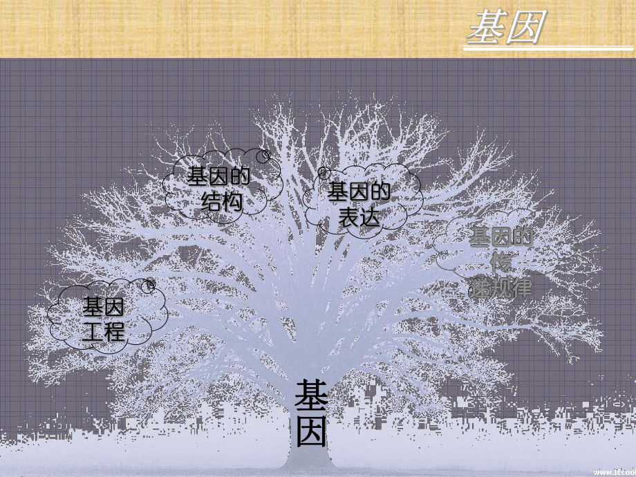 浙江省高中生物课堂教学评比名师精编课件-基因专题.ppt_第3页