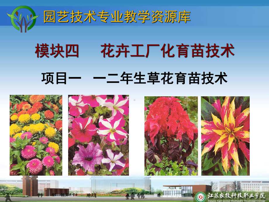 模块4-1-一二年生草花育苗技术课件.ppt_第1页