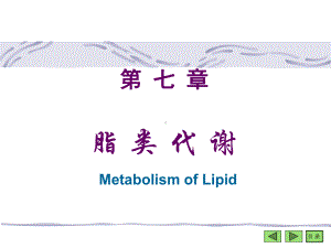 脂类代谢-生物化学-课件.ppt