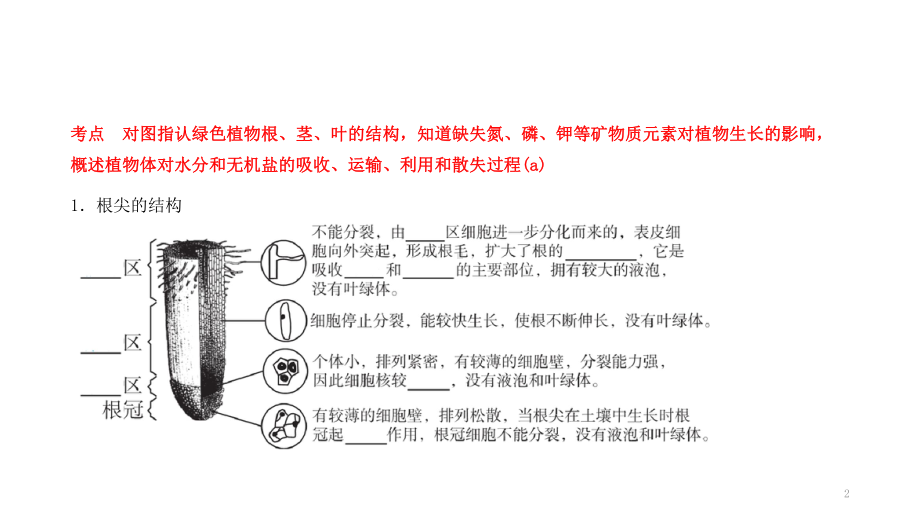 浙教版科学中考复习：绿色植物的物质和能量的转换(-1)共32张)课件.pptx_第2页