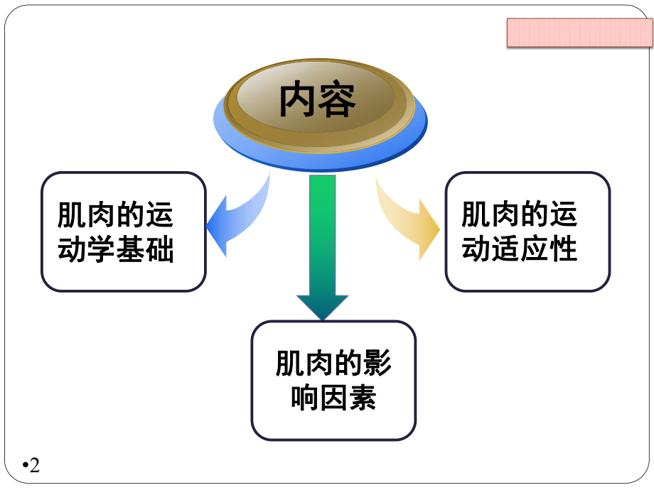 肌肉的基本结构和功能课件.ppt_第2页