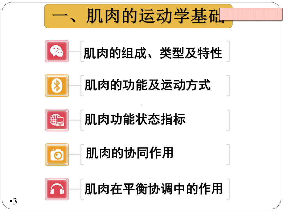 肌肉的基本结构和功能课件.ppt_第3页