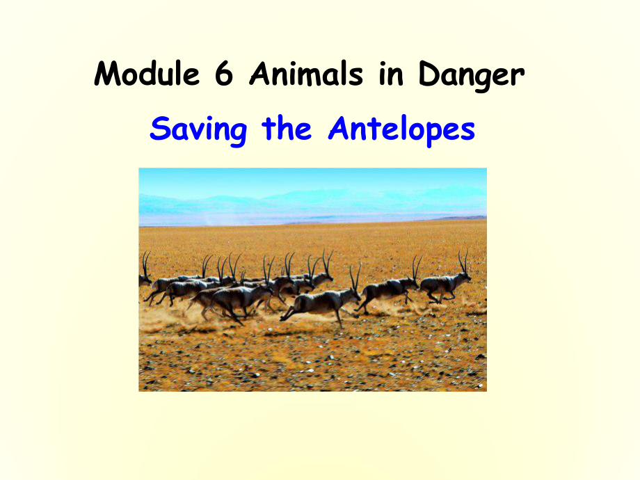 高中英语-Module-6-Animals-in-Danger优质课件-外研版必修5.ppt--（课件中不含音视频）--（课件中不含音视频）_第1页