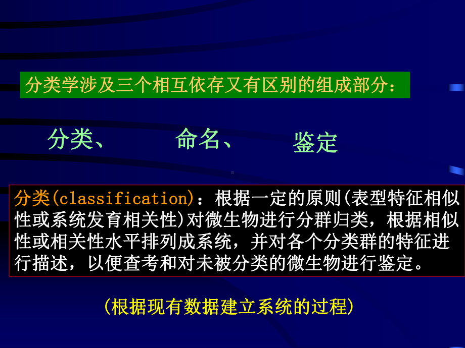 第11章微生物分类课件.ppt_第2页