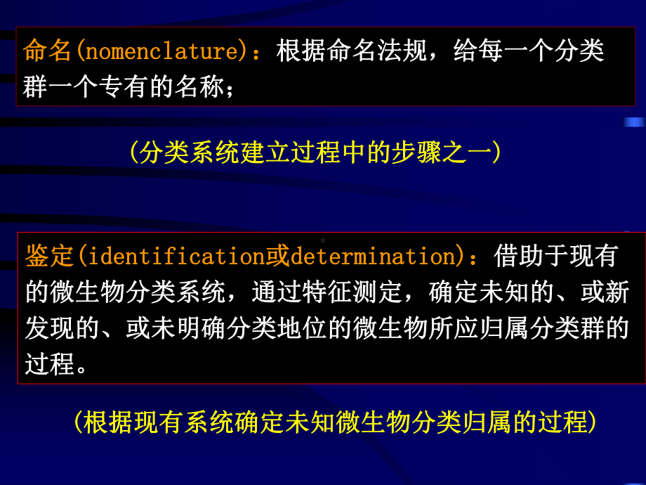 第11章微生物分类课件.ppt_第3页