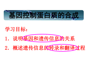 高中生物必修二第四章第三节基因控制蛋白质的合成课件.ppt