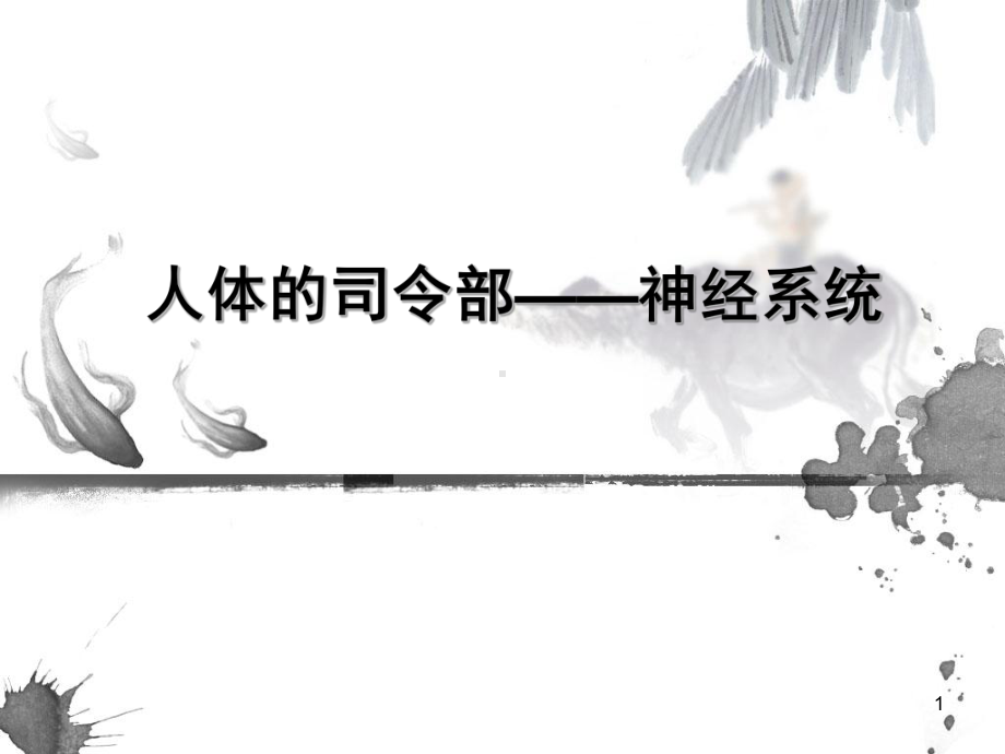 神经系统-人体的司令部课件.ppt_第1页