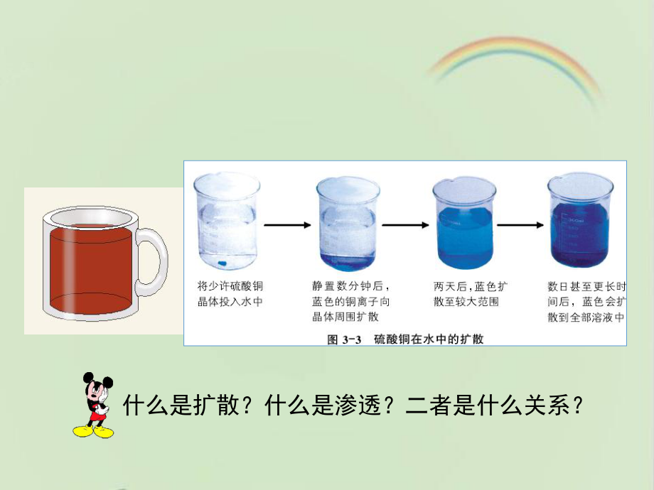 浙科版高中生物必修一《物质出入细胞的方式》第一课时课件-新版.ppt_第2页