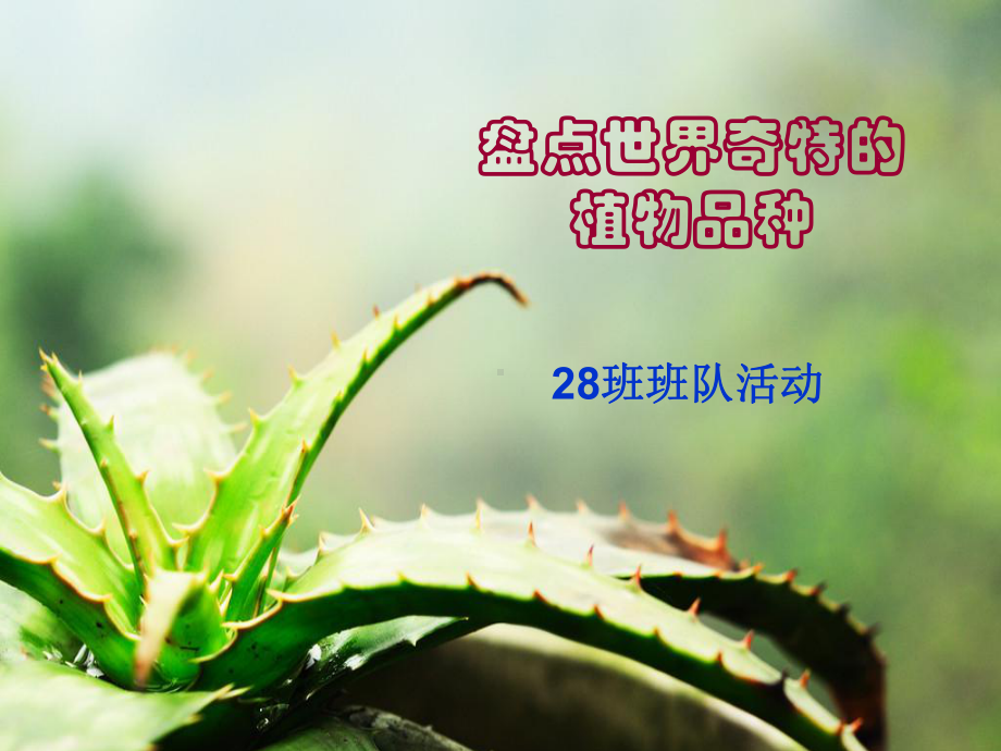 盘点世界奇特的植物品种-课件.ppt_第1页