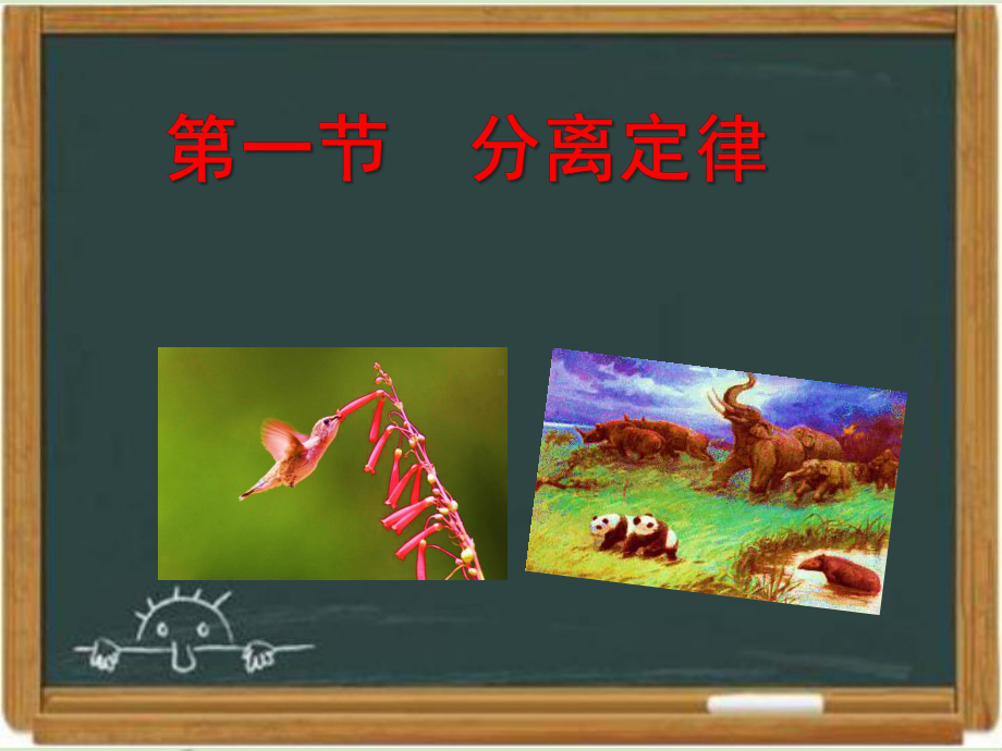 浙科版高中生物必修二《分离定律》教学课件-新版.ppt_第1页