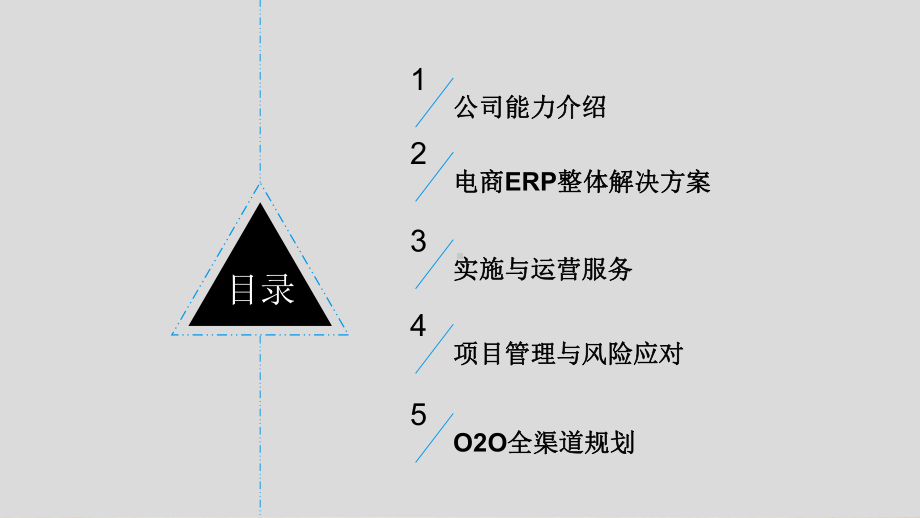 电商ERP系统解决方案(-114张)课件.ppt_第2页