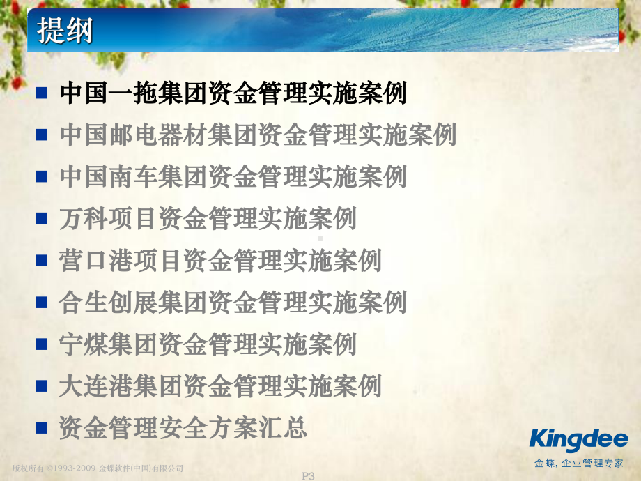 某集团资金管理典型实施案例交流-(-55张)课件.ppt_第3页