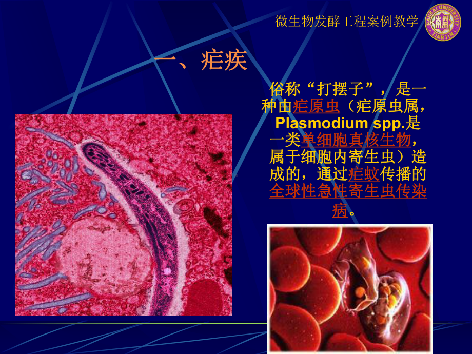 第五组利用基因工程酵母生产抗疟疾药物前体-青蒿酸课件.ppt_第3页