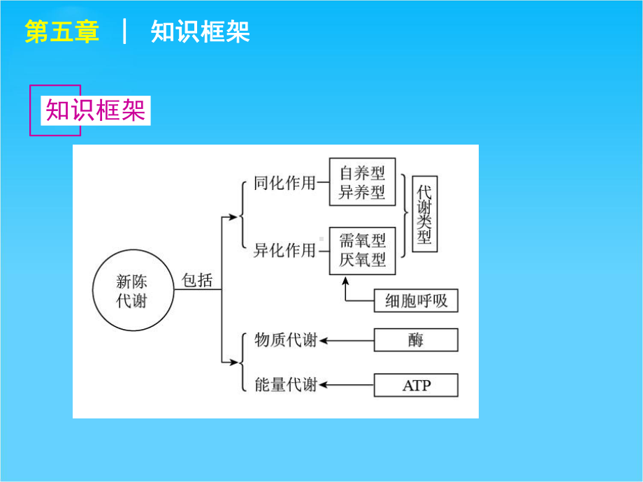 高考生物专题复习-第11讲-酶-ATP(含实验)课件-大纲人教版.ppt_第2页