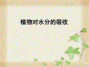 植物对水分的吸收初中生物课件.ppt