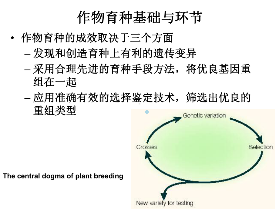 第十章-分子标记辅助育种课件.ppt_第2页