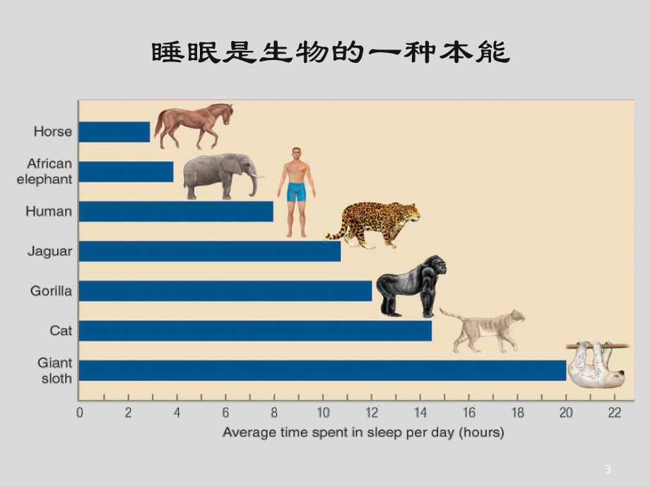 睡眠与免疫系统关联性研究课件.ppt_第3页