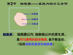 细胞器-系统内的分工合作52-人教课标版精选教学课件.ppt