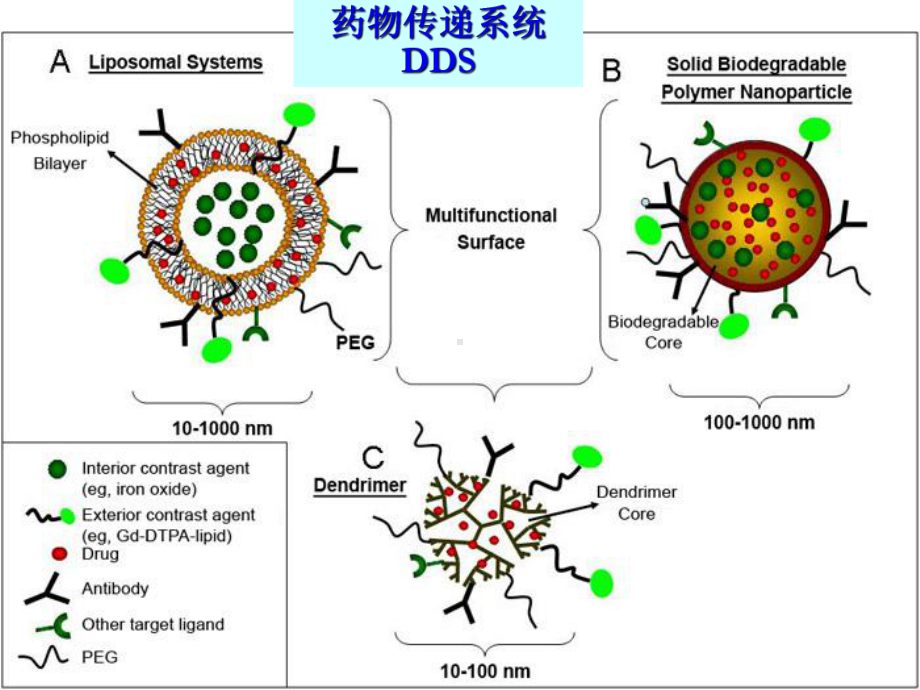 第十一章药物微粒分散系课件.ppt_第2页