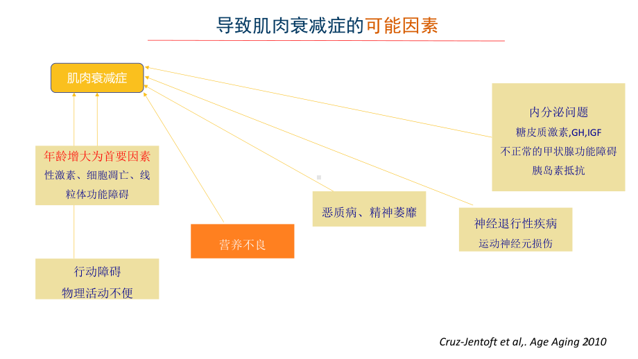 老年肌肉衰减症医学课件.ppt_第3页