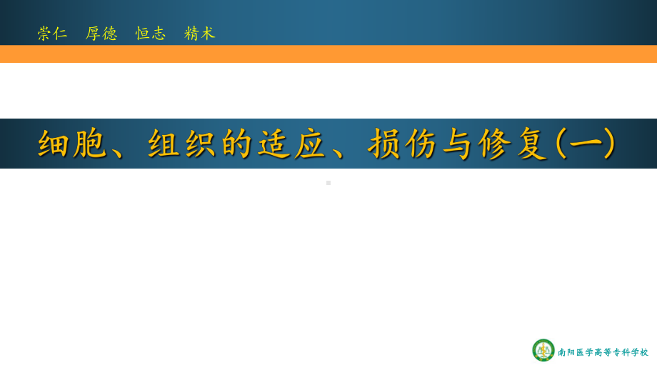 细胞、组织的适应、损伤与修复(一)课件.ppt_第1页