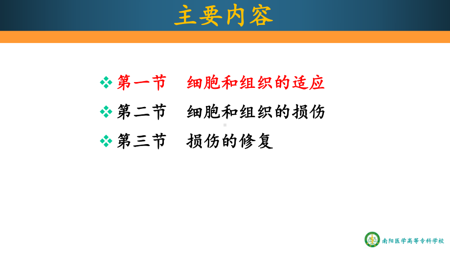 细胞、组织的适应、损伤与修复(一)课件.ppt_第2页