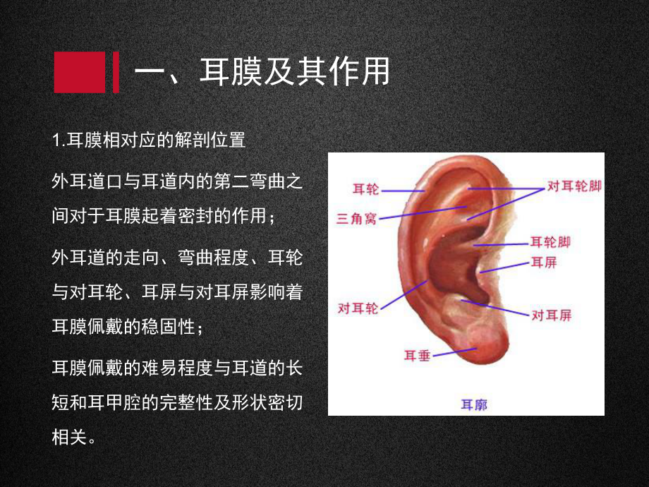 耳膜及其声学特性课件.ppt_第3页