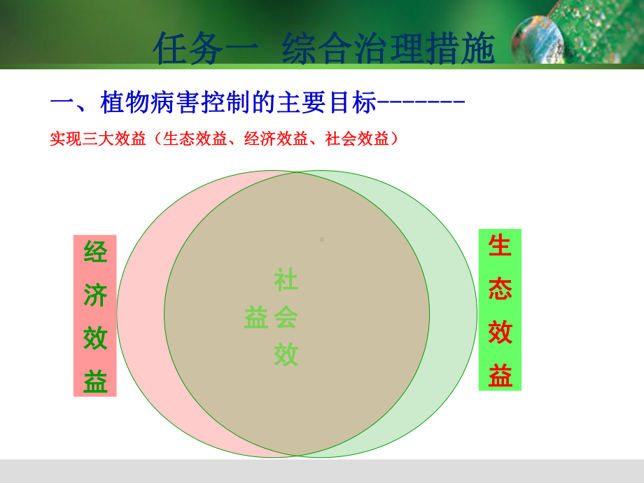 植物病害治理课件.ppt_第3页