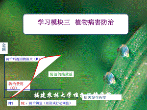 植物病害治理课件.ppt