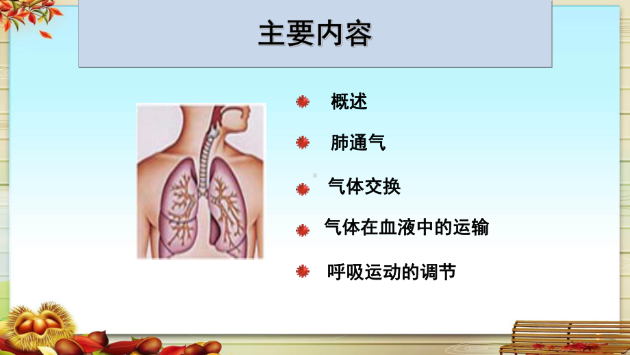 肺的生理功能课件.pptx_第3页