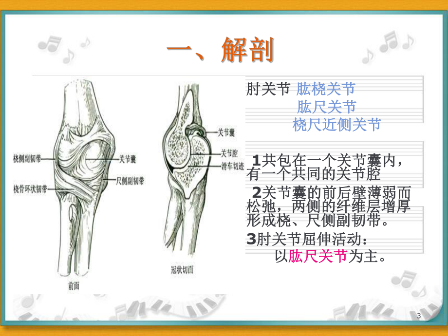 肘关节脱位课件.ppt_第3页