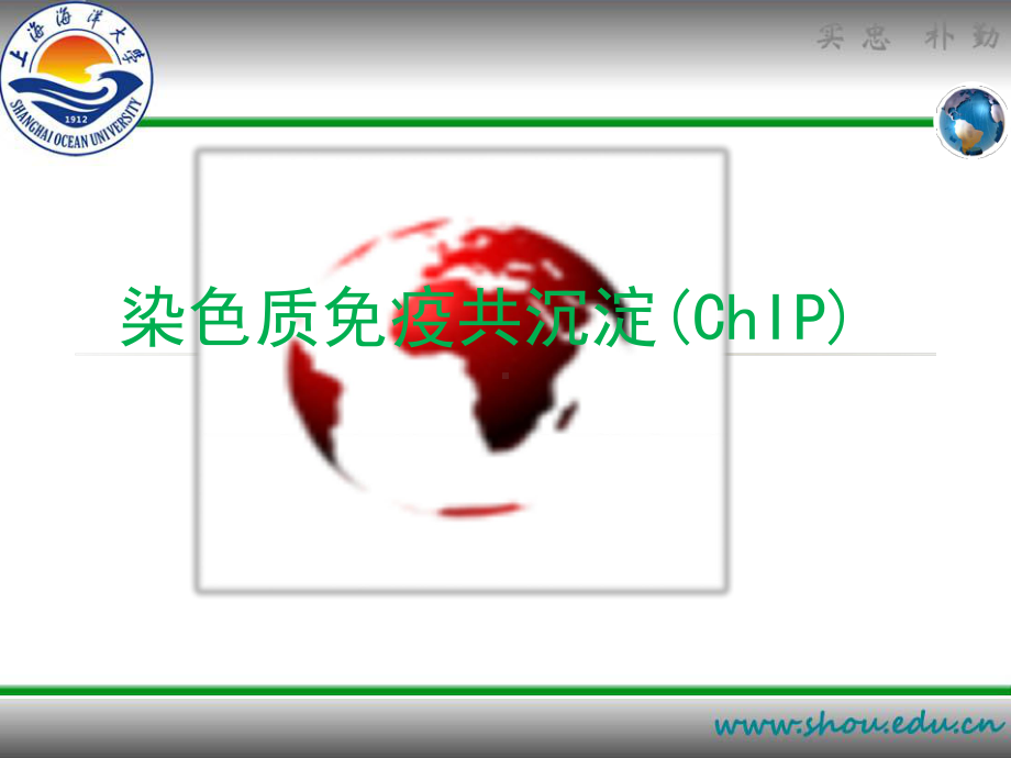 染色质免疫共沉淀课件.ppt_第1页