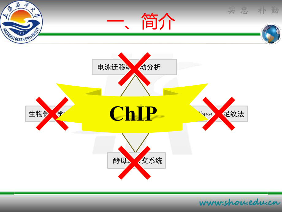 染色质免疫共沉淀课件.ppt_第3页