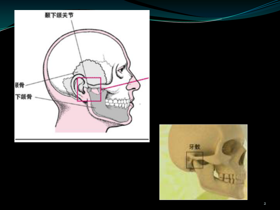 颞下颌关节和唾液腺常见病课件.ppt_第2页