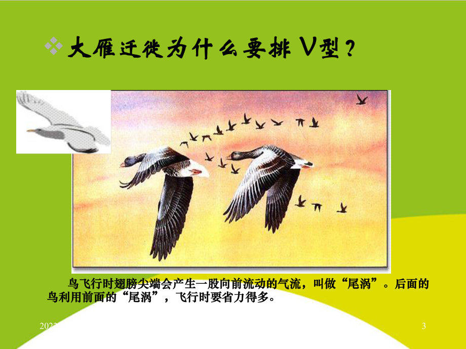 管理学基础组织授课用-课件.ppt_第3页