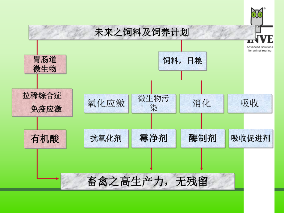 酸化剂在仔猪饲料中作用课件.ppt_第2页