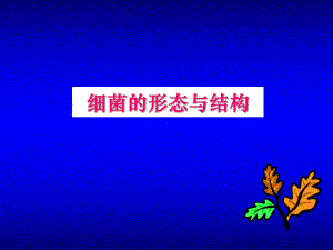 第二章细菌形态与结构课件.ppt