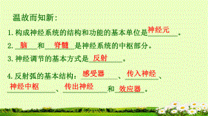 第六章第四节激素调节课件.ppt