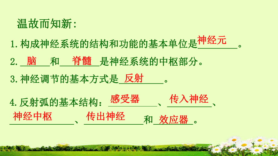 第六章第四节激素调节课件.ppt_第1页