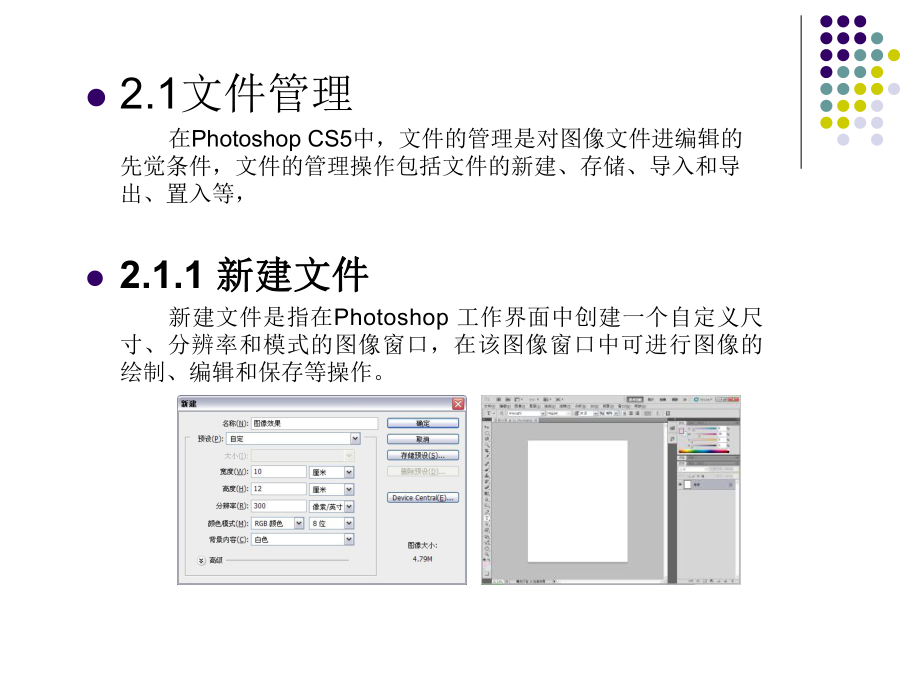 第2章PhotoshopCS5基本功能教学课件.ppt_第2页