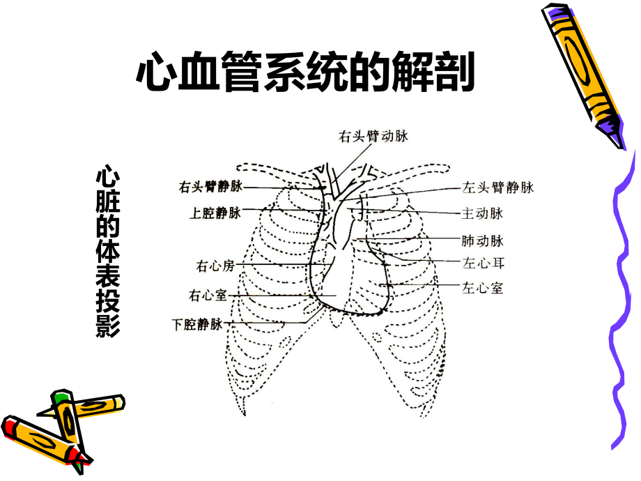 测量CVP相关知识课件.ppt_第3页