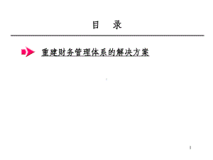 重建财务管理体系的解决方案(-25张)课件.ppt