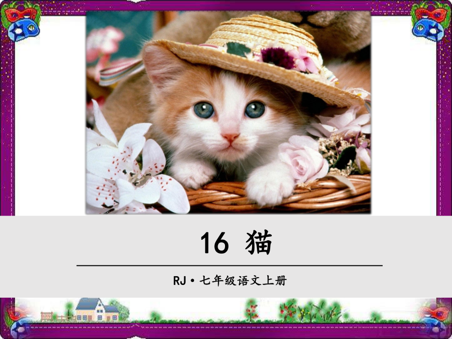 猫省优获奖课件.ppt_第1页