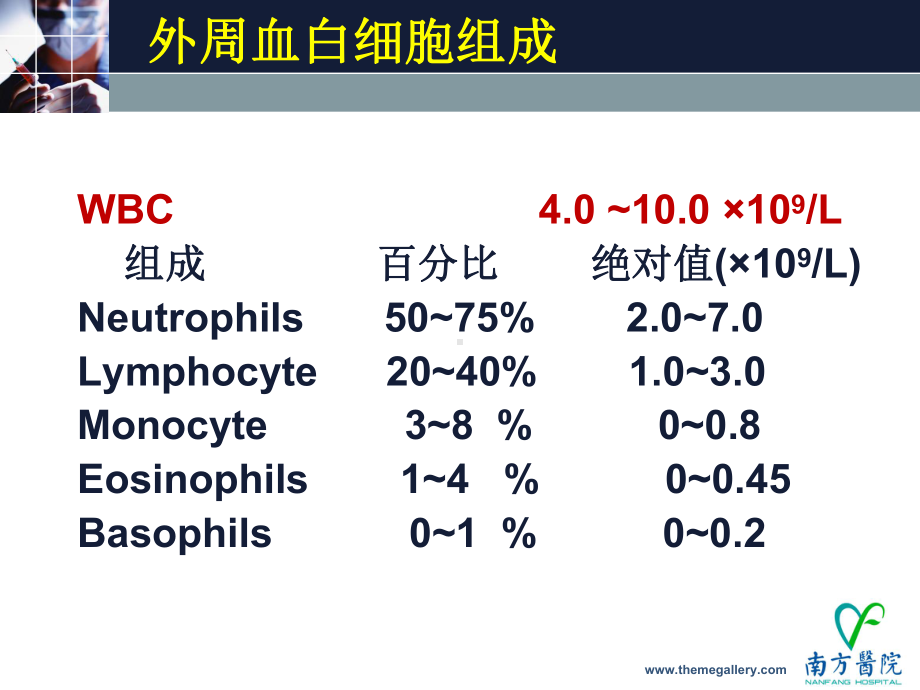 白减和粒缺课件.ppt_第3页