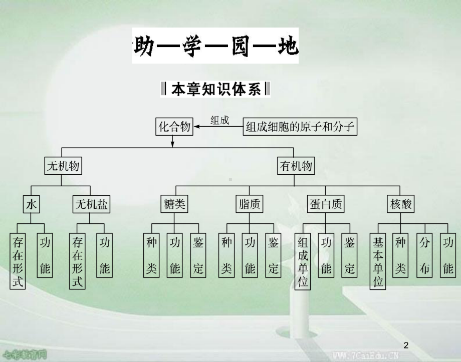 生物必修ⅰ苏教版第2章细胞的化学组成复习课件.ppt_第2页