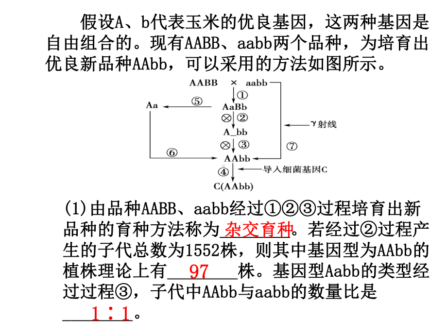 现代生物进化理论的由来-课件.ppt_第1页