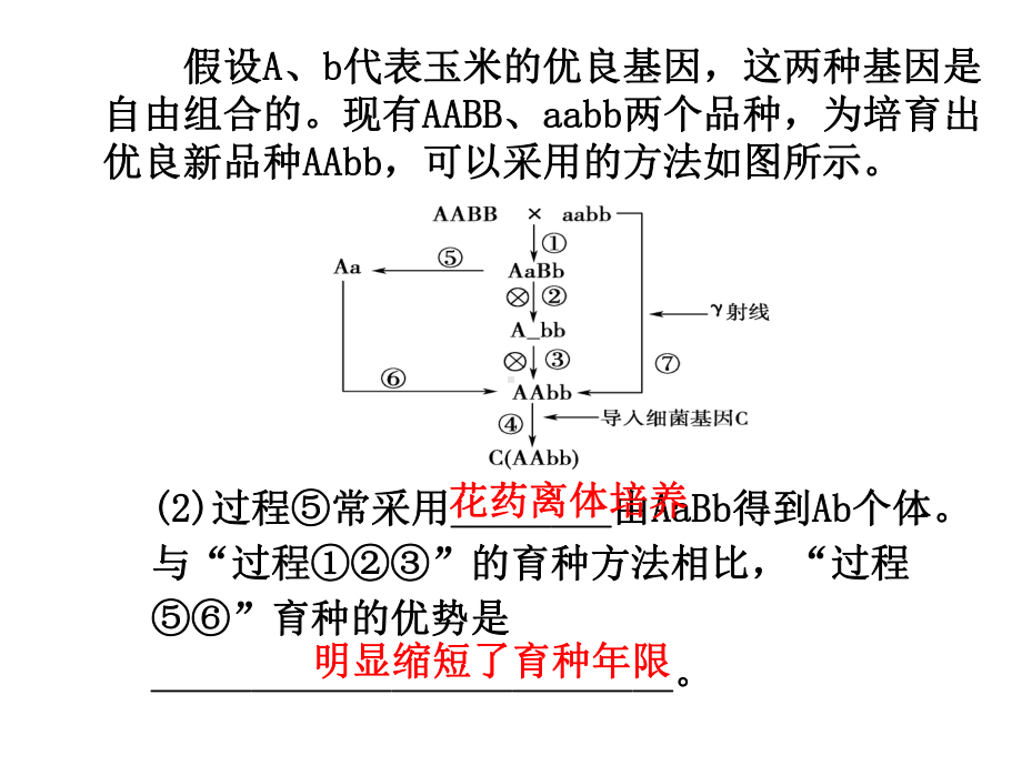 现代生物进化理论的由来-课件.ppt_第2页