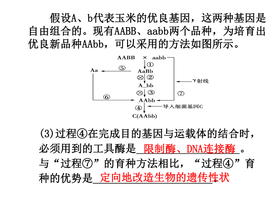 现代生物进化理论的由来-课件.ppt_第3页